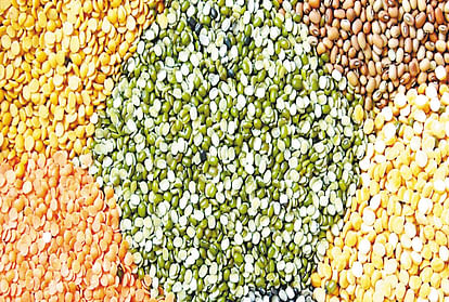 *गजब” जांच में बड़ा खुलासा, मृतकों के नाम पर बांट दिया राशन; राज्य सूचना आयुक्त ने अफसर को किया तलब; पढ़िए पूरा मामला…*