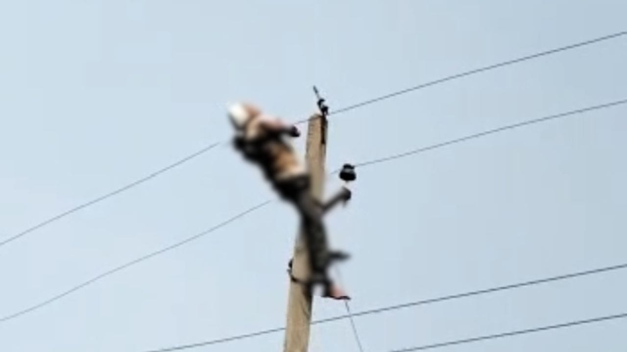 *लाइन ठीक करने गया था कर्मचारी, करंट की चपेट में आकर संविदा कर्मी की मौत; खंभे के ऊपर 4 घंटे तक लटका रहा शव…*