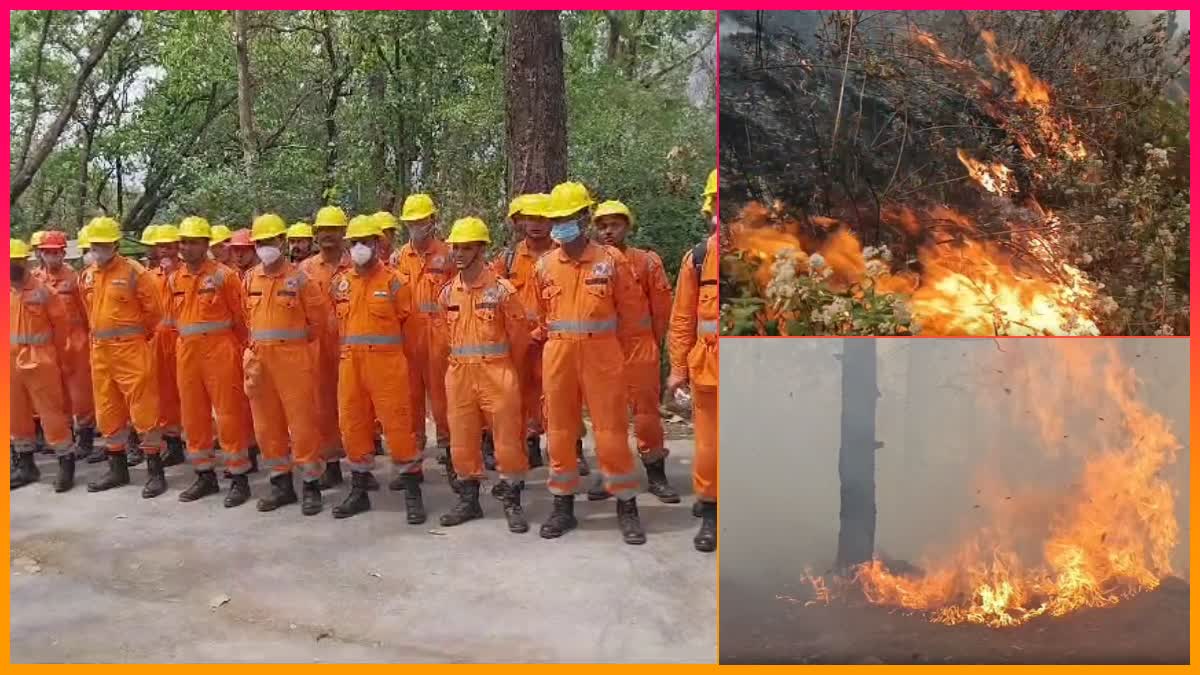*कुमाऊं के आग से धधक रहे जंगलों को बुझाने के लिए वायुसेना के बाद अब NDRF ने संभाल मोर्चा…*
