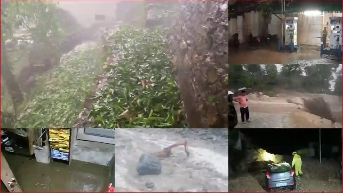 *उत्तराखंड में आसमान से गिरी आफत” यहां बिजली गिरने से 121 बकरियों की मौत, बारिश ओलावृष्टि ने किया परेशान…*