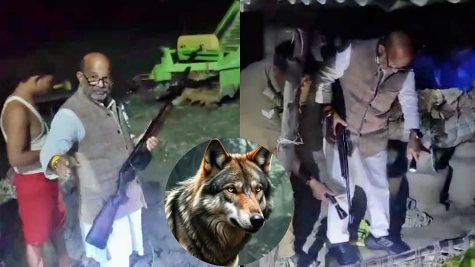 *Uttar Pradesh के इस जिले में भेड़िए का आतंक, डेढ़ महीने में 6 बच्चे को बनाया शिकार; बंदूक लेकर BJP विधायक तक कर रहे चौकीदारी…*