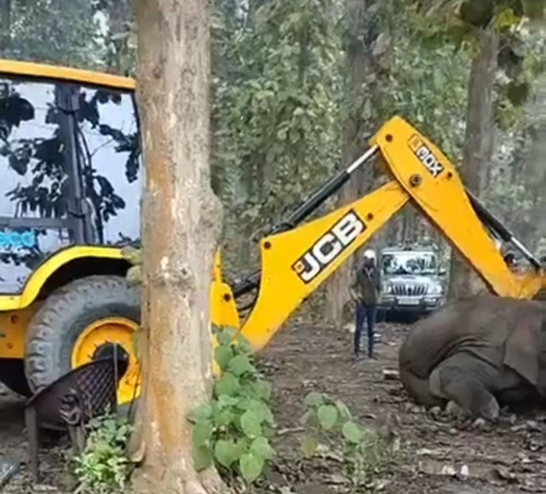 तराई केंद्रीय वन प्रभाग के टांडा रेंज में एक टस्कर हाथी की मौत। वन विभाग कर रहा है जांच।