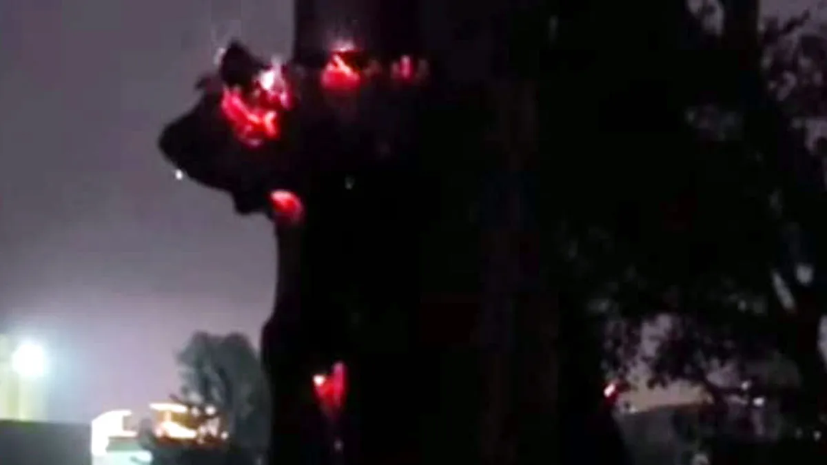 सेमल के पेड़ में लगी भीषण आग, हाईटेंशन लाइन पर मंडराया खतरा