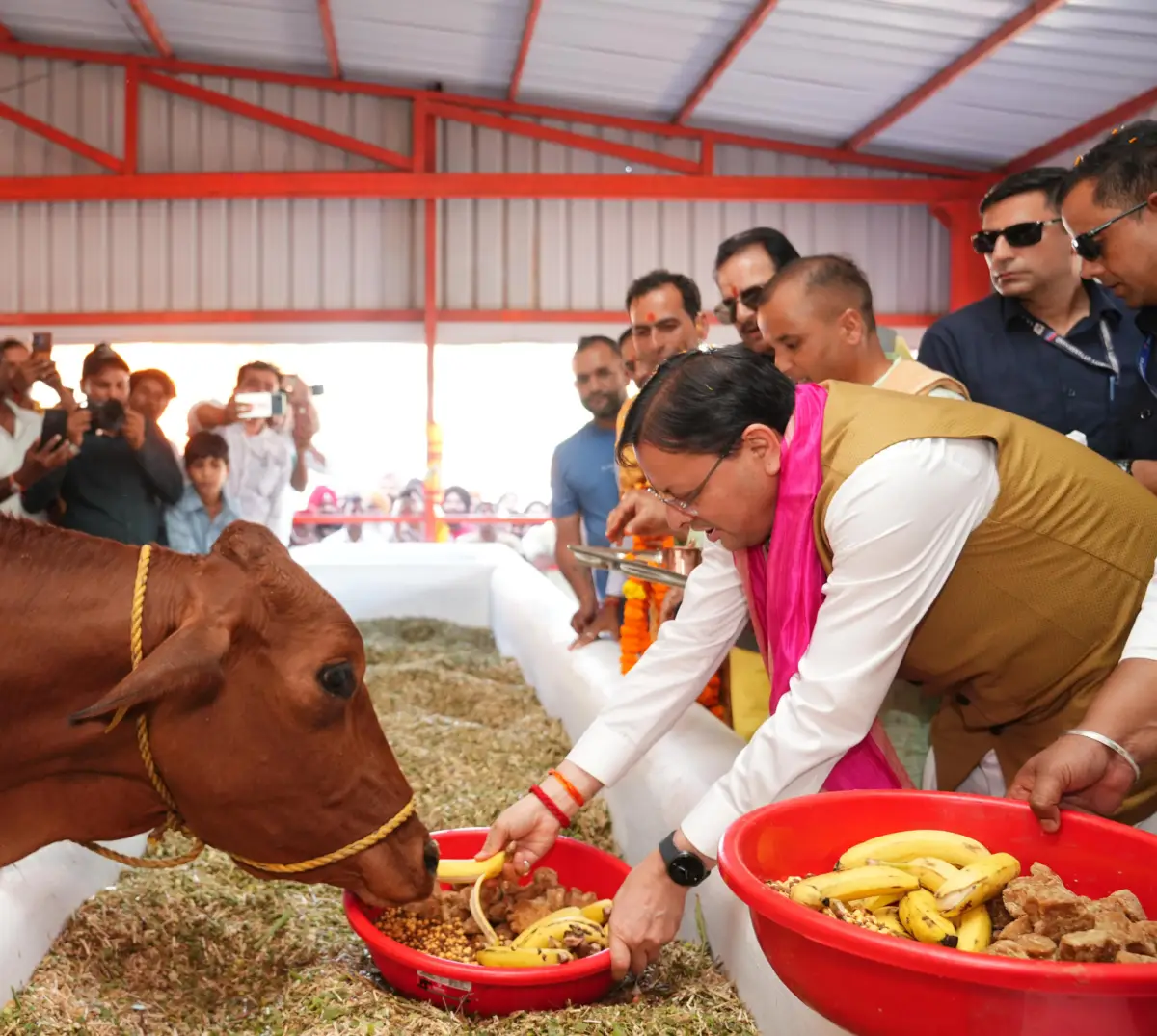 हल्दीघेरा में 7.22 करोड़ की लागत से बनी गौशाला का लोकार्पण, 108.84 करोड़ की 15 योजनाओं को मिली सौगात सीएम धामी बोले- निराश्रित गोवंश को मिलेगा सुरक्षित आश्रय