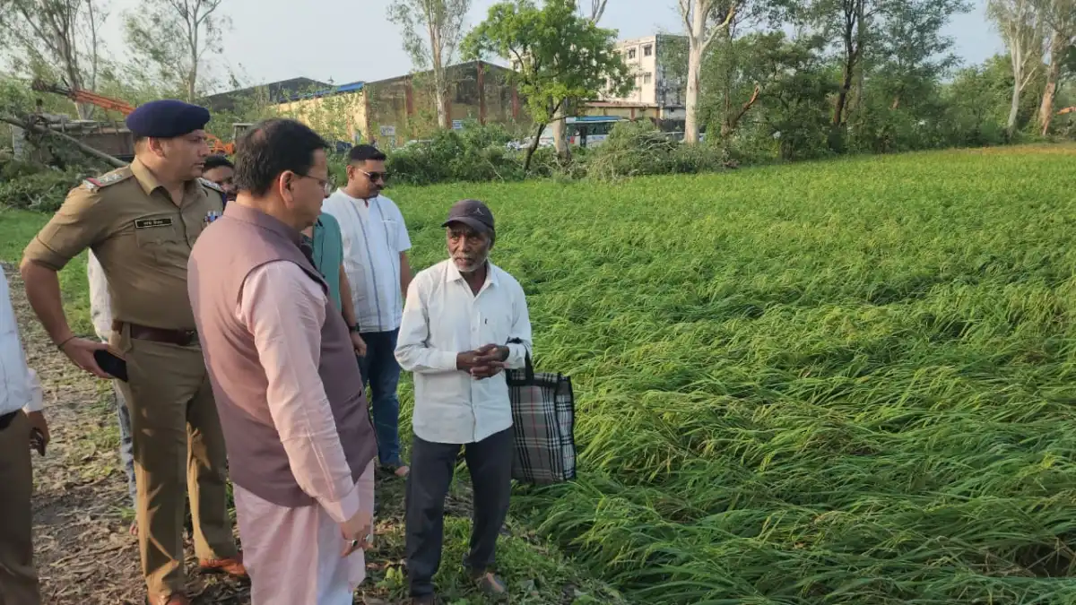 ओलावृष्टि से खेतों में बिछी धान की फसल, गन्ना-मक्का और अमरूद को भी नुकसान, सीएम धामी ने लिया संज्ञान, प्रशासन को नुकसान का आकलन कर प्रभावित किसानों की मदद के निर्देश